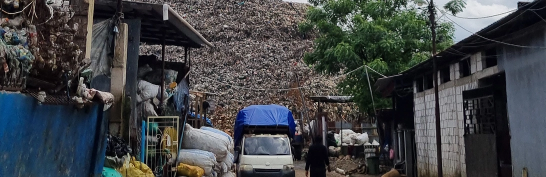 Social and economic impact